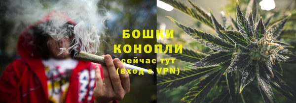 дживик Аркадак