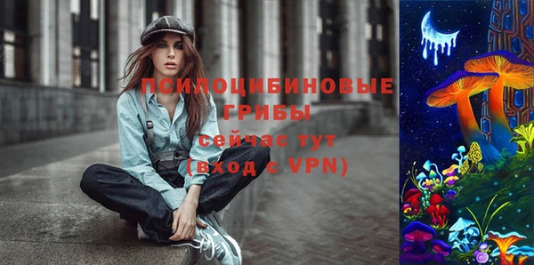 дживик Армянск