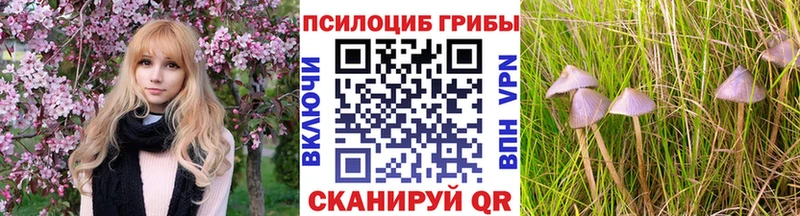 купить закладку  Белая Холуница  Псилоцибиновые грибы ЛСД 